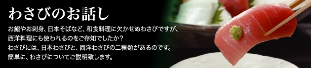わさびのお話し お鮨やお刺身、日本そばなど、和食料理に欠かせぬわさびですが、 西洋料理にも使われるのをご存知でしたか? わさびには、日本わさびと、西洋わさびの二種類があるのです。 簡単に、わさびについてご説明致します。